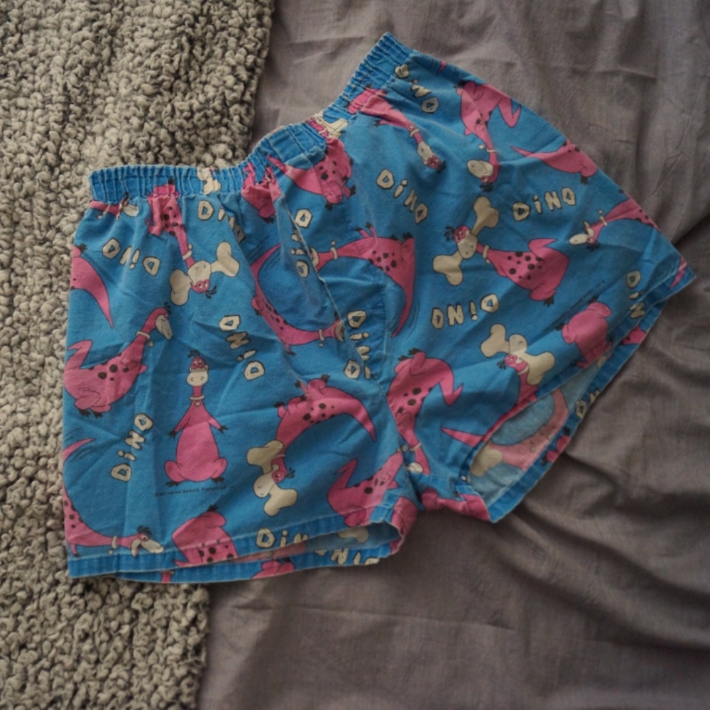 Boxer Patrol Flintstones Dino Boxers Shorts